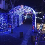 【飯塚】2024年11月24日（日）～2025年1月17日（金）に飯塚緑道で「第13回 まちなかイルミネーション大作戦 ～街に灯りを取り戻そう！～」が開催されます！