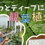 【飯塚】7月27日（日）、asiacで「もっとディープに観葉植物」が開催されます！