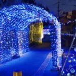 【飯塚】11月26日（日）より飯塚緑道公園で「第12回 まちなかイルミネーション大作戦」が開催されます！！