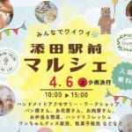 【添田】4月6日（土）添田駅前で「添田駅前マルシェ」が開催されます！