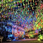 【田川】幻想的な光に照らされた1万個の風鈴に感動！7月21日（金）・22日（土）、3年ぶりに三井寺の「風鈴ライトアップ」が開催されます。