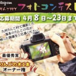 【嘉麻】4月8日（土）から「九州りんご村 Instagramフォトコンテスト」の応募が始まります！！