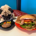 【飯塚】ワンちゃんも一緒に楽しめるアメリカンカフェ！TOP ONE CAFEのこだわりハンバーガーとワンちゃんのフード