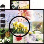 【直方】福智山ろく花公園「第1回フォトコンテスト」開催！応募期間は1月16日（月）より2月14日（火）まで！！