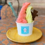 【飯塚】本場イタリアの味！パティスリーSONOKIのタダクマジェラート