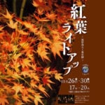 【直方】11月26日（水）～30日（日）、福智山ろく花公園で「紅葉ライトアップ」が開催されます！
