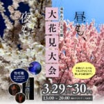 【直方】3月29日（土）・30日（日）福智山ろく花公園で「大花見大会」が開催されます！
