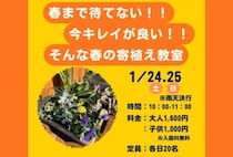 【直方】1月24日（土）・25日（日）、福智山ろく花公園で「寄せ植え教室」が開催されます！