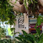 【飯塚】移転オープンでカフェスペースも♪ asiacで見つける素敵なインテリアグリーン