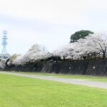 【直方】直方オートキャンプ場の彦山川側に新区画が4月25日にオープン！新区画の予約受け付けも開始