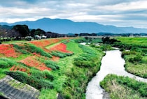 【宮若】全市民に1人1万円を給付！物価高騰対策として「物価高騰対応応援給付金」を実施