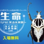 【嘉麻】3月15日（土）夢サイトかほで「生命～きらりと光る未来展～ ふくおか大昆虫展 in かま」が開催されます！☆標本展示は8日から