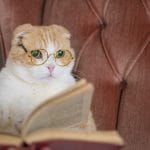 今ここを学ぶたのしさ