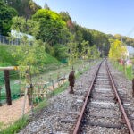 【添田】フォレストアドベンチャー添田横に「フォレスト鉄道キャンプ場」オープン！