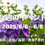 福岡・筑豊の週末イベント情報！上野焼と植物のコラボイベントや防災フェスタなど楽しい内容盛りだくさん！