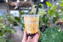 【2026年】WING編集部おすすめ！GWドライブで飲みたいドリンク7選