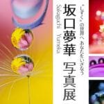 【嘉麻】12月23日（土）・24日（日）きもの処久賀屋で「坂口夢華 写真展」が開催されます！