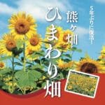 【嘉麻】「熊ヶ畑ひまわり畑」が5年ぶりに復活！8月中旬に見頃を迎えます！