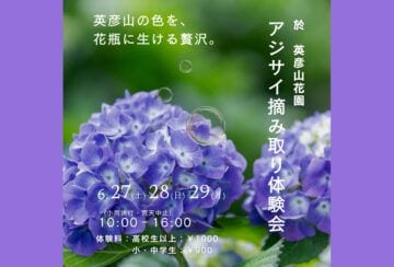 【添田】6月27日（土）・28日（日）・29日（月）、英彦山花園にて「アジサイ摘み取り体験会」が開催されます！