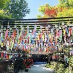 【田川】1万個の風鈴が圧巻！三井寺の風鈴まつり