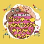 【田川】楽しいお店が大集合！ニャンダ～いっちゃんワンダフォーチャリティイベントが開催されます
