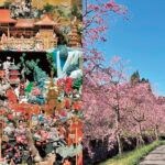 飯塚発着・春満載バスツアーの参加者募集中！