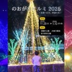 【直方】11月23日（日）、直方駅前須崎町公園で「のおがたイルミ2025～未来へ灯す、希望の光～」の点灯式が開催されます！
