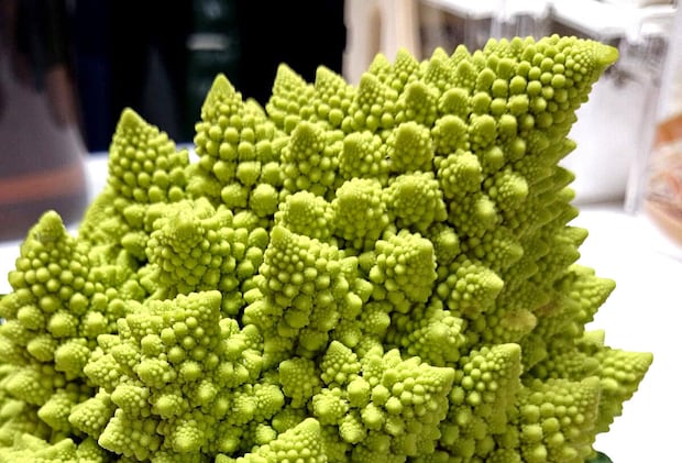 ビジュがスゴいぞ！「ロマネスコ」ってどんな野菜？分解してみました