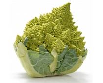 ビジュがスゴいぞ！「ロマネスコ」ってどんな野菜？分解してみました