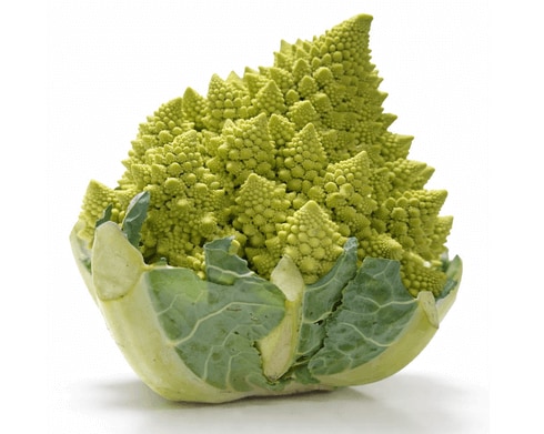 ビジュがスゴいぞ！「ロマネスコ」ってどんな野菜？分解してみました