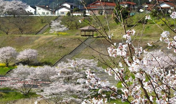 がんね白滝公園、公園が見渡せる展望スポットの東屋【岩国市美和町】