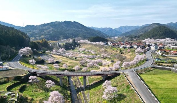 がんね白滝公園、全体写真【岩国市美和町】