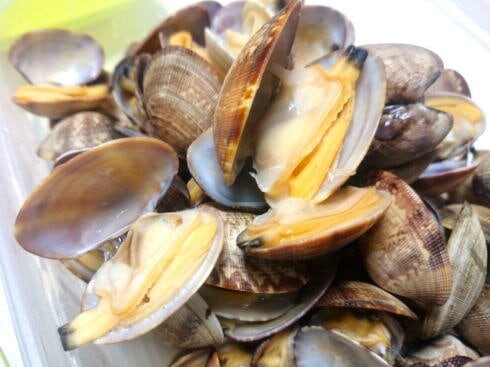 あさりの酒蒸し 殻が開いたところ