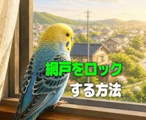 インコなどペットの脱走対策！網戸が開かないようにロックする方法