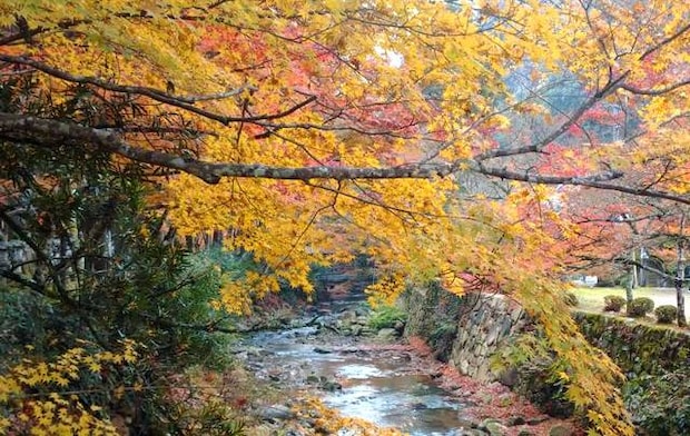 佛通寺も秋のグラデーション、紅葉を楽しむ人で賑わう