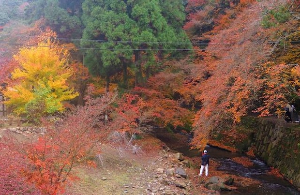 佛通寺2025の紅葉