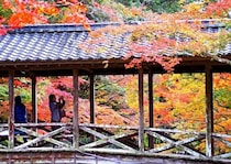 佛通寺も秋のグラデーション、紅葉を楽しむ人で賑わう