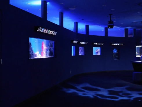 シン・マリホ水族館 画像2