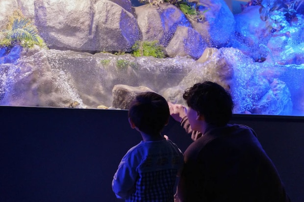 アルパークに復活！シン・マリホ水族館がオープン、ファミリー中心に癒される空間へ