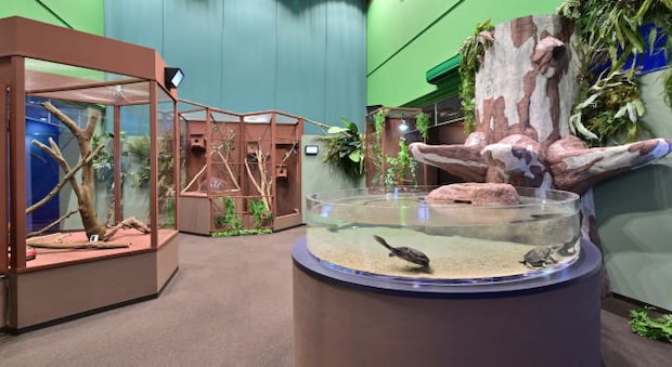 アルパークに復活!シン・マリホ水族館がオープン、ファミリー中心に癒される空間へ