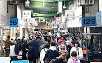 年に一度の開放！市場まつり大盛況、解体ショーにグルメも