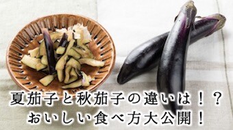 夏茄子と秋茄子の違いとは?食を知る、逸品グルメが美味しい食べ方を大公開!