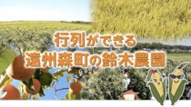 甘いトウモロコシ「甘々娘」・「森の甘太郎」を買える『鈴木農園』