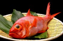 実は鯛じゃない？下田といったら「金目鯛」