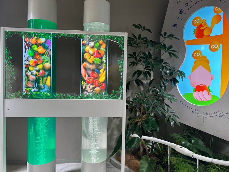 出典: FANY マガジン