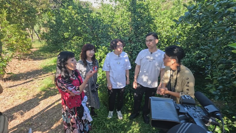 出典: FANY マガジン