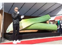 万博に出現した“に巨大なネギ”が「ねぎの町・下仁田」でお披露目! 下仁田ねぎ祭りで町長感激「未来を望む象徴になる!」