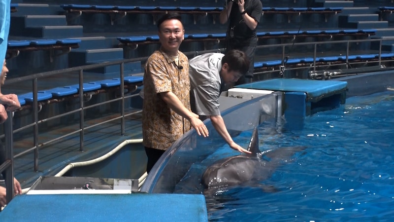 出典: FANY マガジン