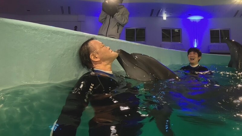 出典: FANY マガジン