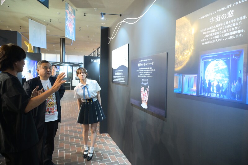 出典: FANY マガジン